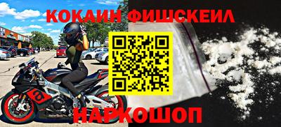 индика Кингисепп