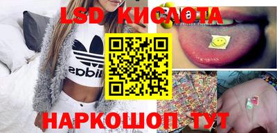 индика Кингисепп