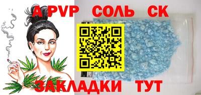 индика Кингисепп