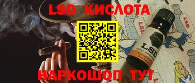 индика Кингисепп