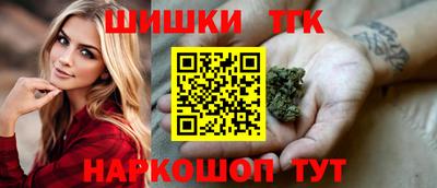 индика Кингисепп