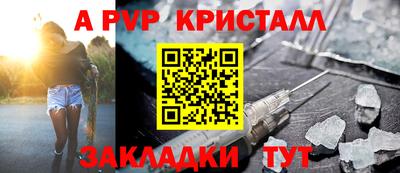 индика Кингисепп