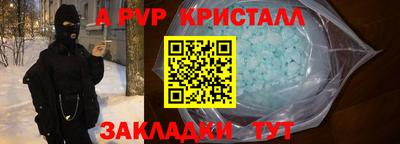 индика Кингисепп