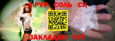 индика Кингисепп