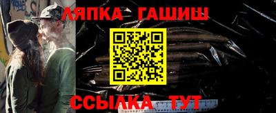 индика Кингисепп