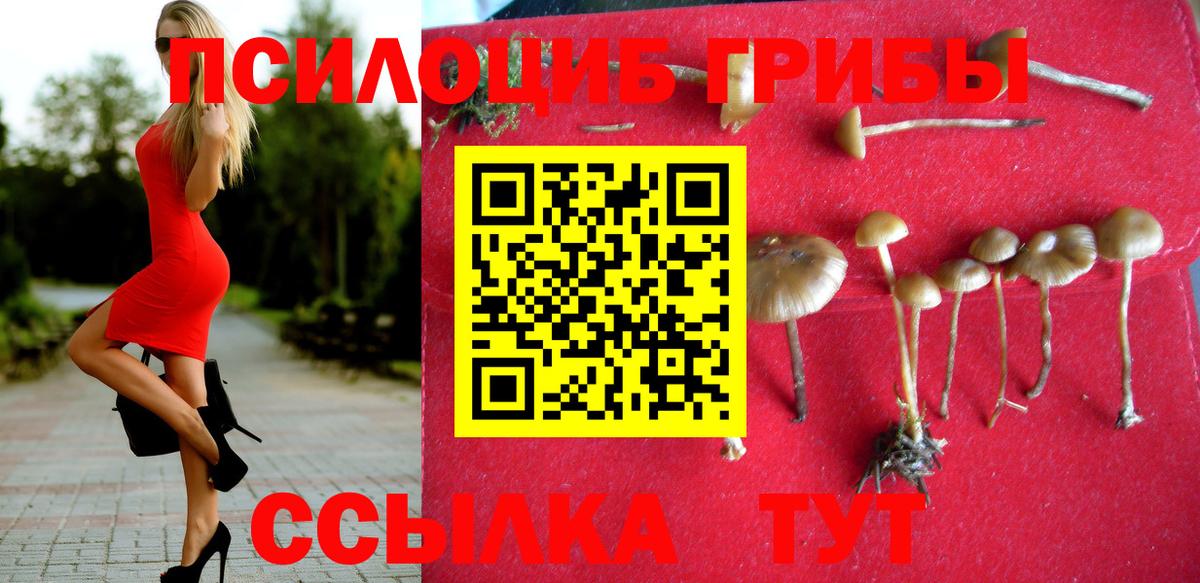 Галлюциногенные грибы Magic Shrooms Пушкино